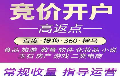 SEM托管公司案例研究：优化策略解析